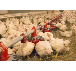 Годівниця для бройлерів або молодняка Grower Select, з заслінкою, 14 спиць, піддон 61мм Годівниця для бройлерів або молодняка Grower Select, з заслінкою, 14 спиць, піддон 61мм