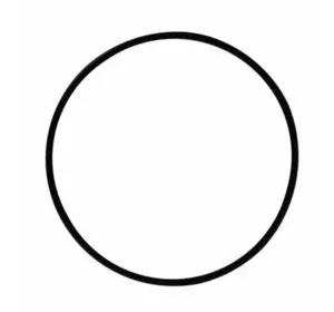 Кільце ущільнювача O-Ring для Dosatron D25F / D25RE Кільце ущільнювача O-Ring для Dosatron D25F / D25RE