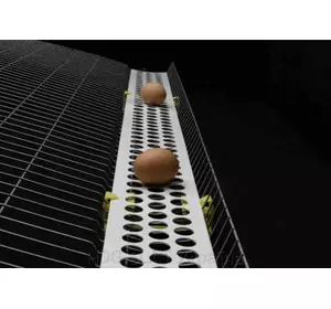 Конвеєрна стрічка з круглими отворами для транспортування яєць Конвеєрна стрічка з круглими отворами для транспортування яєць