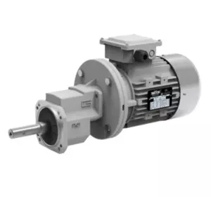 Редукторний електродвигун, 0,75 кВт ХогСлат Редукторний електродвигун, 0,75 кВт ХогСлат