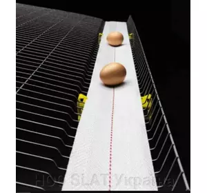 Стрічка конвеєрна для системи транспортування яєць Стрічка конвеєрна для системи транспортування яєць