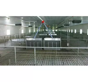 Підбір і заміна обладнання для свинарників Підбір і заміна обладнання для свинарників