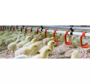 Секція лінії напування Impex, 3,03 м, з 15 ніпелями і краплевловлювачі, ХогСлат Секція лінії напування Impex, 3,03 м, з 15 ніпелями і краплевловлювачі, ХогСлат