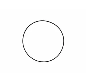 Уплотнительное кольцо O-Ring для крышки медикатора Chemilizer Уплотнительное кольцо O-Ring для крышки медикатора Chemilizer