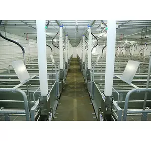 Оборудование для свинарников: собственное производство Оборудование для свинарников: собственное производство