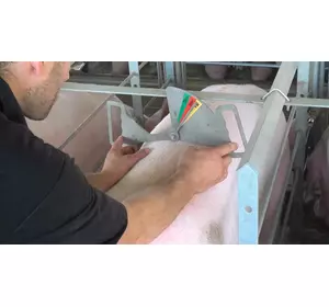 Металлическая шкала для измерения кондиции тела свиноматки Caliper HOG SLAT Металлическая шкала для измерения кондиции тела свиноматки Caliper HOG SLAT