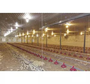 Проектирование свиноферм, Хог Слат Проектирование свиноферм, Хог Слат