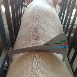 Система утримання Система утримання