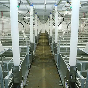 Услуги Hog Slat Украина Услуги Hog Slat Украина