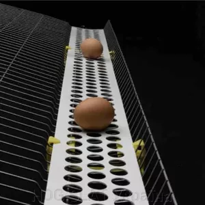 Конвеєрні стрічки для транспортування яєць Конвеєрні стрічки для транспортування яєць