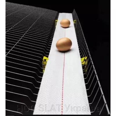 Стрічка конвеєрна TPEHW для системи транспортування яєць