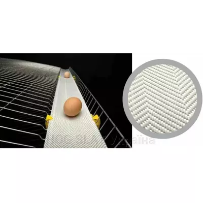 Стрічка поліпропіленова SPL для системи транспортування яєць