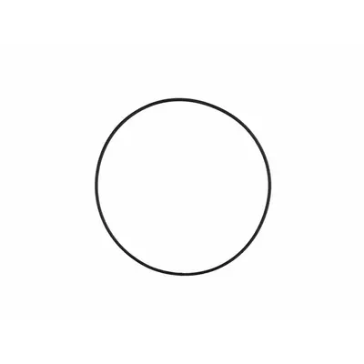 Кільце ущільнювача O-Ring для кришки медікатора Chemilizer