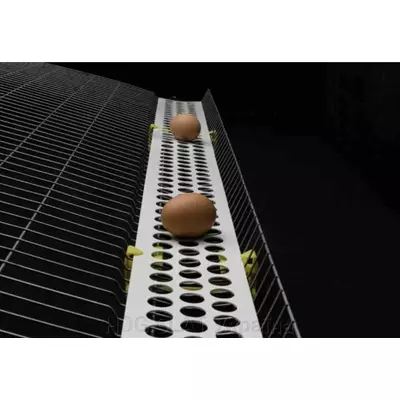 Конвейерная лента с круглыми отверстиями для транспортировки яиц